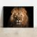 Quadro Decorativo Preto e Dourado - Fotografias / Diversos